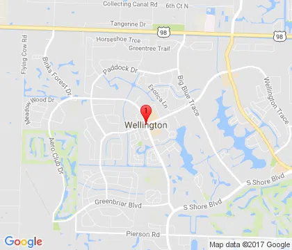 logo-image - wellington-fl